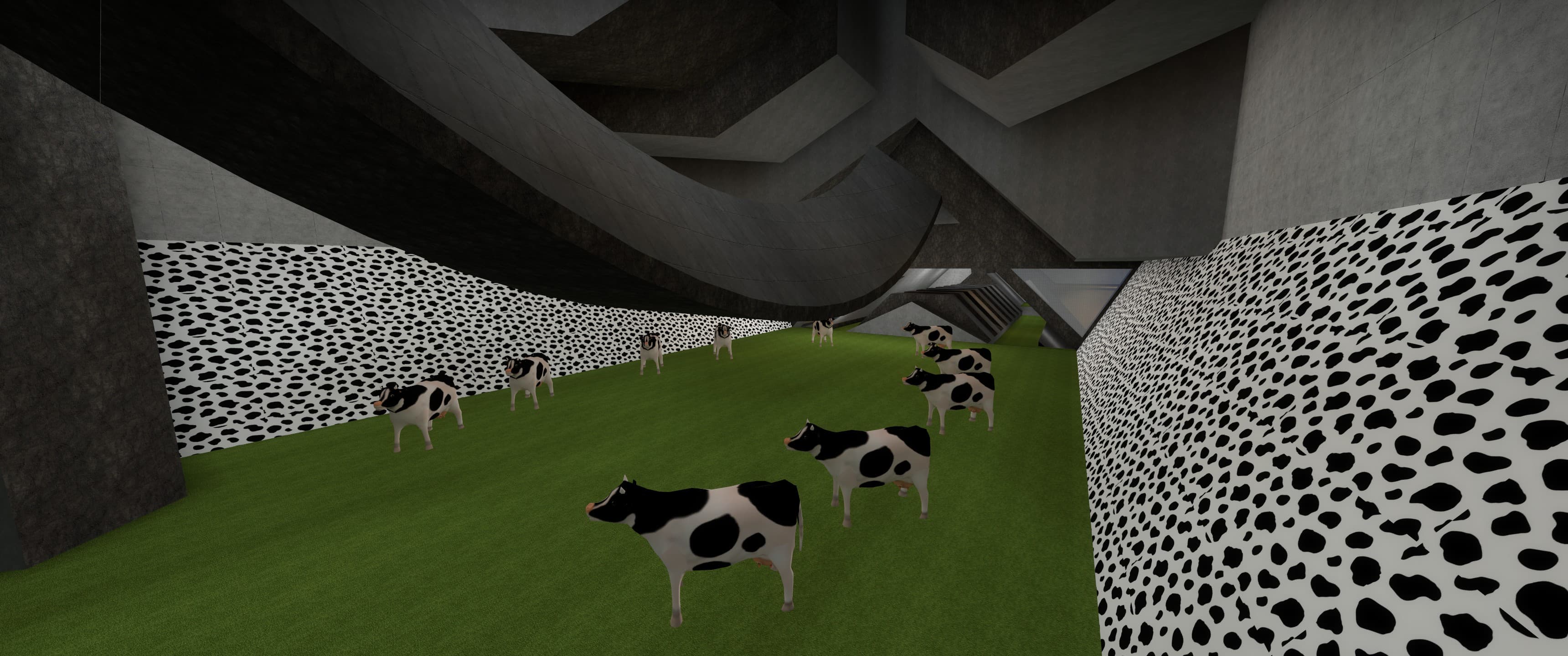 surf_life_of_cow